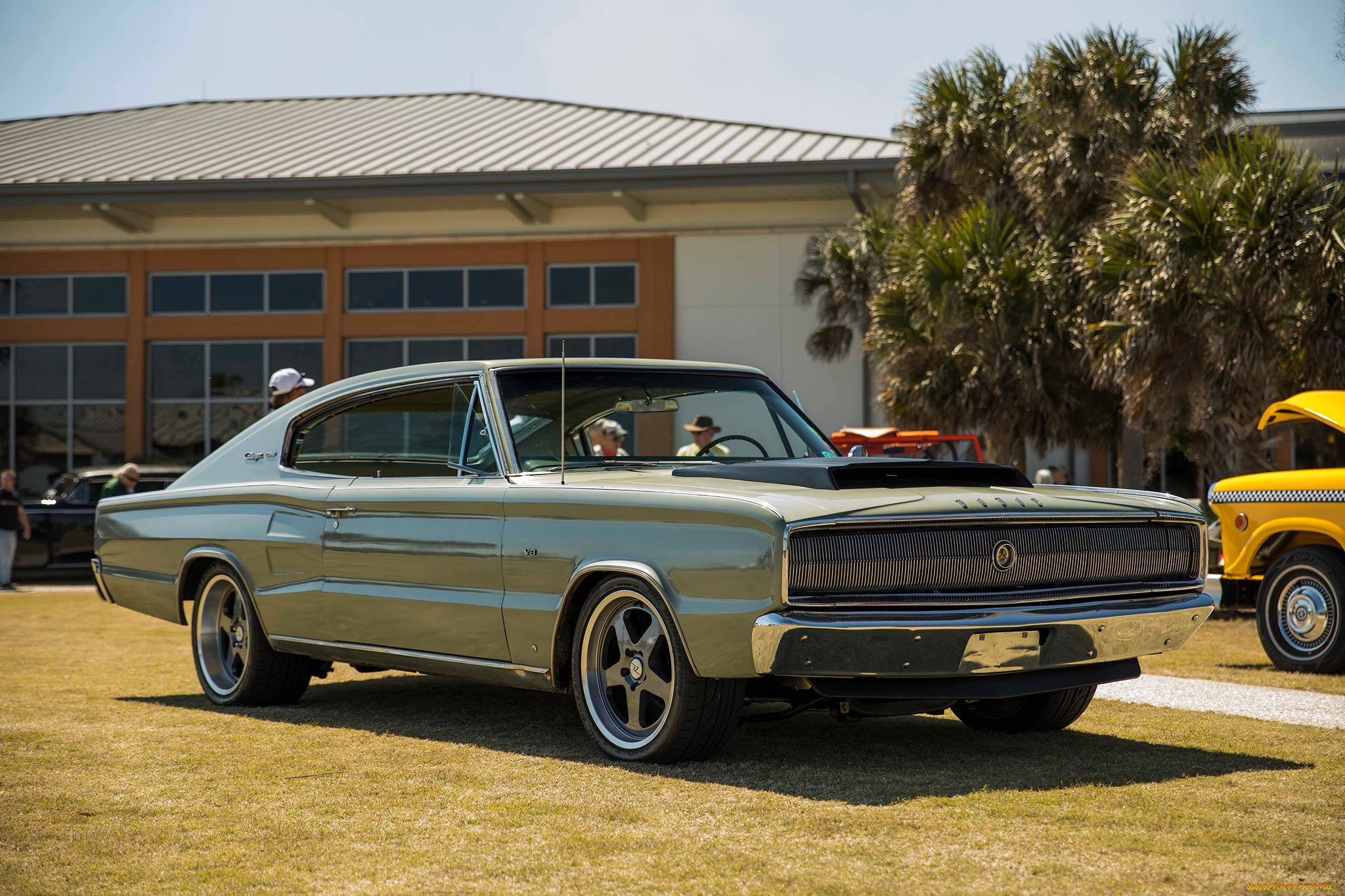 ,    , dodge, charger, 1966